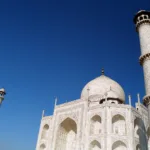 Exploring the Natural Wonders of India A Journey Through Its Wildlife Sanctuaries and National Parks