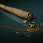 Convenience Meets Quality: The Benefits of Pre-Rolled Joints