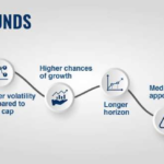 Reasons to Invest in DSP Midcap Fund Direct Growth