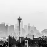 Revealing The Nuances of Washington Car Shipping