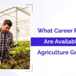 What Career Prospects Are Available for BSc Agriculture Graduates?