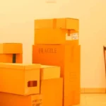 How to Transport Your Musical Instruments Without Damage