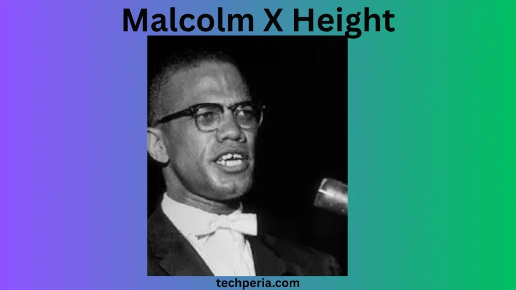 Malcolm X Biography